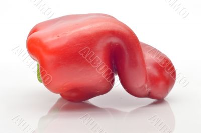 Bulgarian pepper
