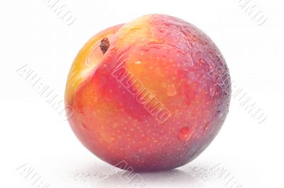 Bright ripe plum on a white background
