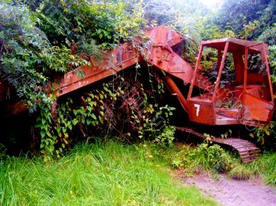 Derelict Digger In Forest 