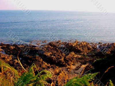 Rocky Shoreline