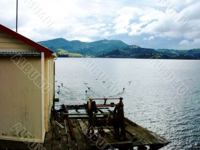 Birds And Dockhouse 