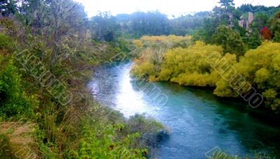 View Up River