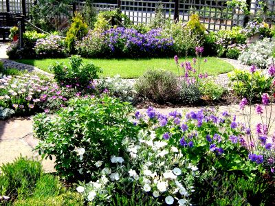 British Garden In Bloom