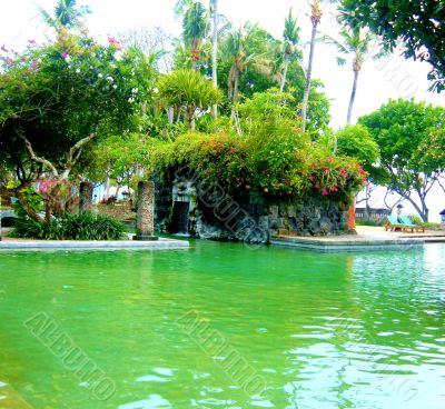 Jungle Swimming Pool
