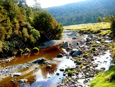 Shallow River With Field And Forest