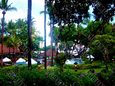 Beautiful Tropical Resort pool