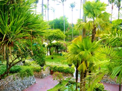 Peaceful Asian Garden