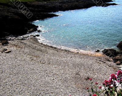 Long Shot Of A Pebbly Beach In The Summer