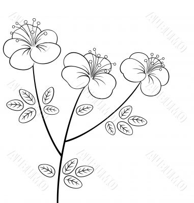 Pretty flower line art