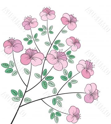 Pretty colorful flower line art