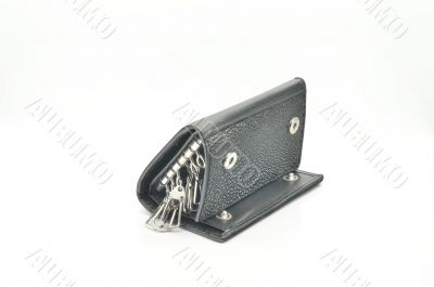 Key case, purse and wallet