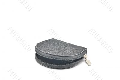 Purse for coins