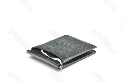 Purse with clip for notes