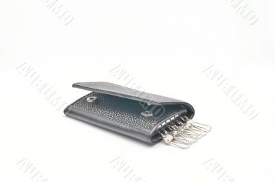 Key case, purse and wallet