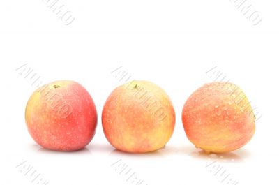 Rose apples