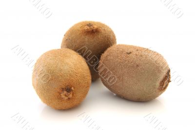 Kiwi isolated on white