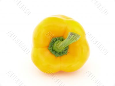 Yellow pepper