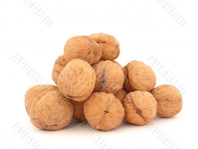 Walnuts