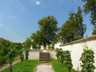 Prague castle - Masaryk Terrace