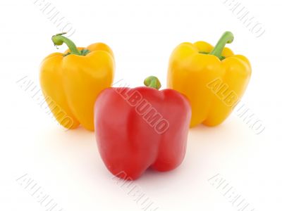 Red and yellow peppers