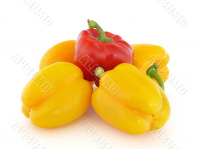 Red and yellow peppers