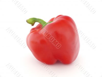 Red pepper