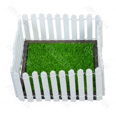 Enclosed Grass Yard