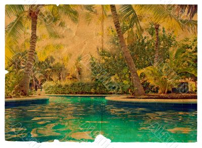 Palm trees by the pool. 