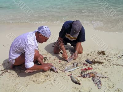 Men clean fish on the ocean. 