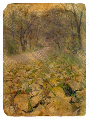 autumn landscape. Old postcard.