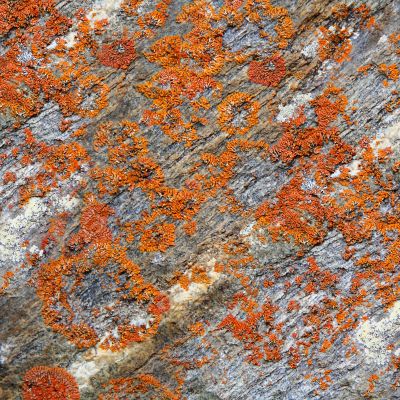 Image of colorful texture