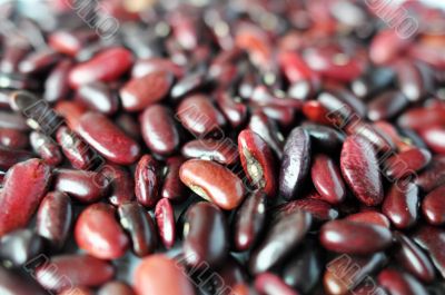 Kidney beans
