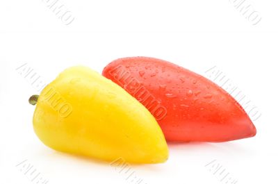 Bulgarian pepper