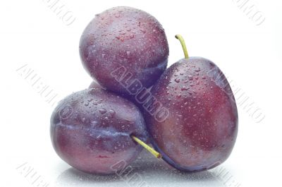 plums on a white background, close-up
