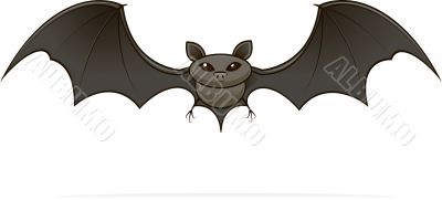 image of a bat