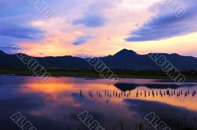Cloudscape and landscape