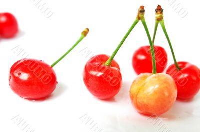 Cherry fruits