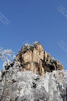 Rime and mountain in winter