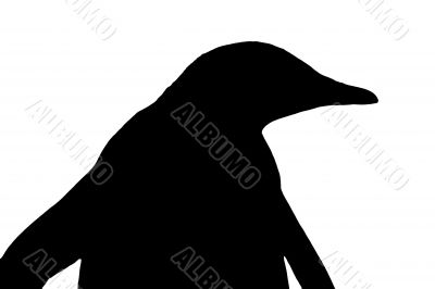 silhouette of a penguin