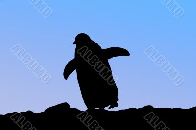 silhouette of penguin