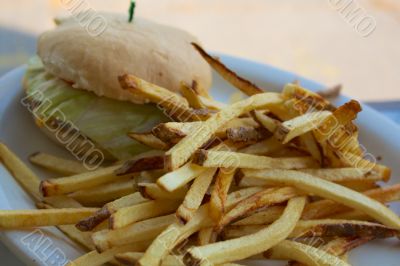 Fries and a Cheese Burger on a White Plate