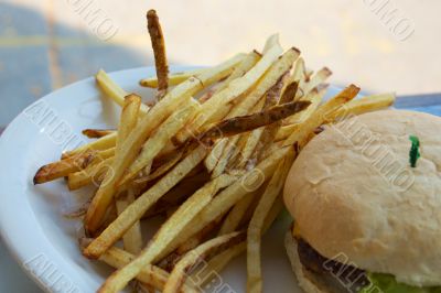 Cheeseburger and Fries on a Plate