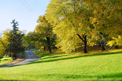 Autumn Morning in Park