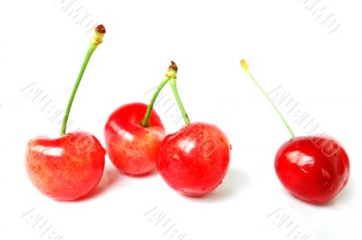 Cherry fruits