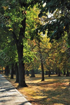 Path in Autumn Park