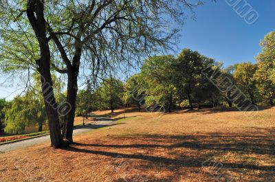 Autumn in Park