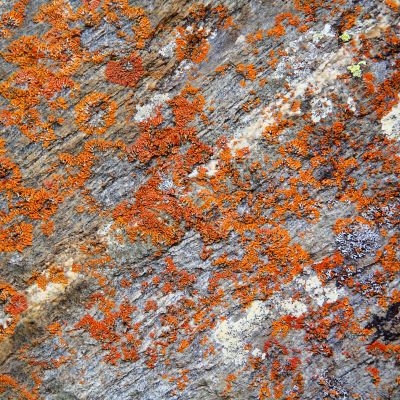 Image of colorful texture