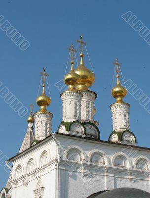 Ryazan Kremlin domes