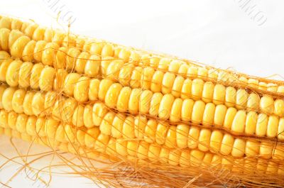 Macro view of corn cob