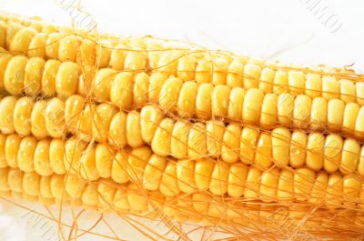 Macro view of corn cob